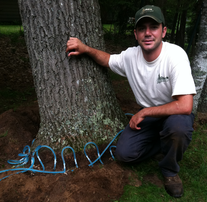 Ted Foley Certified Arborist at Petersen Tree Service Minocqua WI